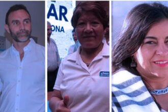 Desempeño de los senadores nacionales de Jujuy en el ranking legislativo