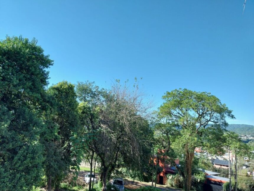 Pronóstico del tiempo en Jujuy: miércoles cálido con sol y nubes