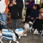 La Semana del Animal en Jujuy: operativos de atención veterinaria gratuita