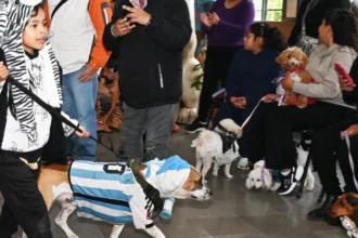La Semana del Animal en Jujuy: operativos de atención veterinaria gratuita