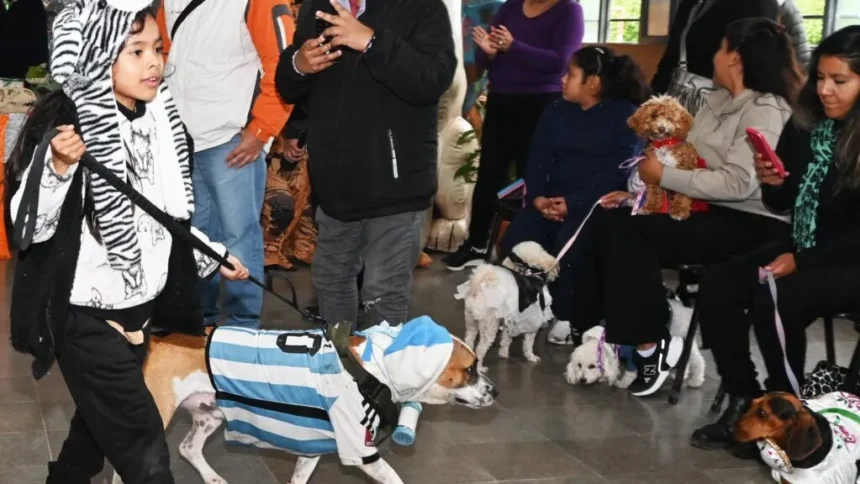 La Semana del Animal en Jujuy: operativos de atención veterinaria gratuita