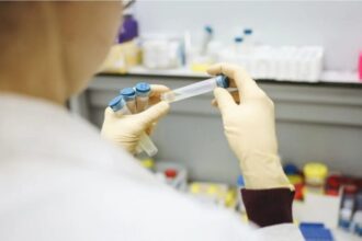 Jujuy descarta brote de hantavirus y mantiene vigilancia epidemiológica activa