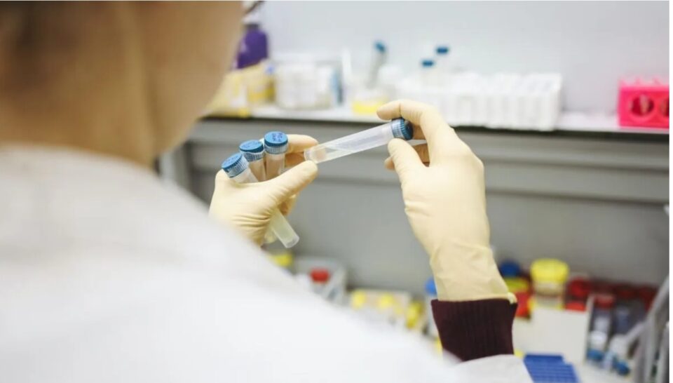 Jujuy descarta brote de hantavirus y mantiene vigilancia epidemiológica activa