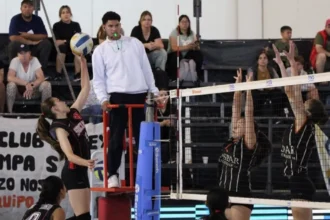 La Federación Jujeña ofrecerá un curso de árbitro de voleibol con certificación oficial