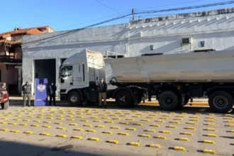 Desmantelan organización narco que transportaba cocaína desde Salta a Córdoba