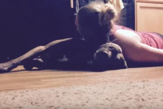 Intento de femicidio en Alto Comedero: un perro salvó a su dueña del estrangulamiento