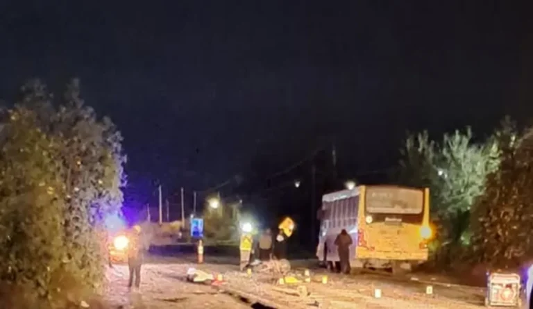 Motociclista embestido en Ruta 9: falleció tras colisión con colectivo