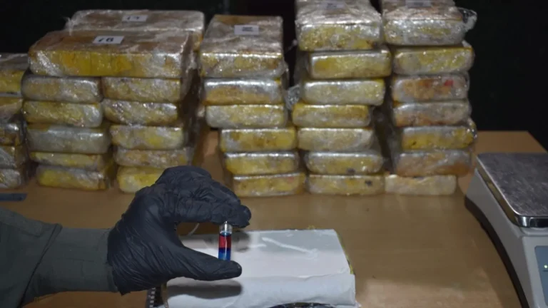 Gendarmería decomisa 42 kilos de cocaína en un vehículo en la Ruta Nacional 34