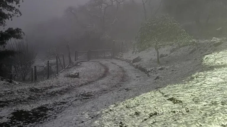 Lluvias y bajas temperaturas, nieva en Alfarcito y las postales son hermosas