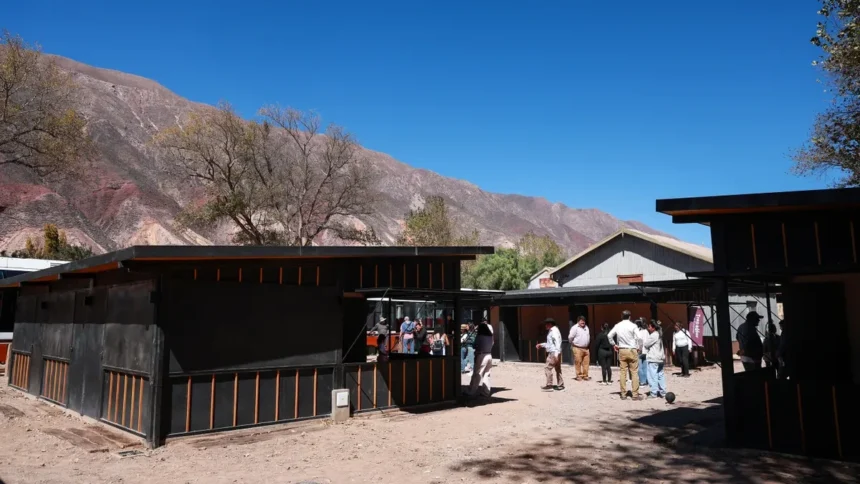 El mercado de Maimará en la estación del Tren Solar impulsa a productores locales