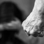 Robo de celular en Palpalá: detuvo a su ex pareja tras una violenta discusión
