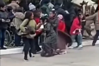 Caballo descontrolado en Palpalá: embistió a una niña y una mujer durante desfile patrio