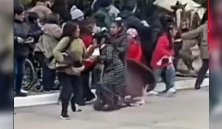 Caballo descontrolado en Palpalá: embistió a una niña y una mujer durante desfile patrio