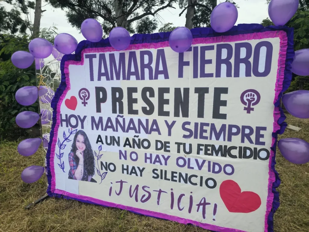 La sentencia de Tamara Fierro no está firme y existe riesgo de retroceso judicial