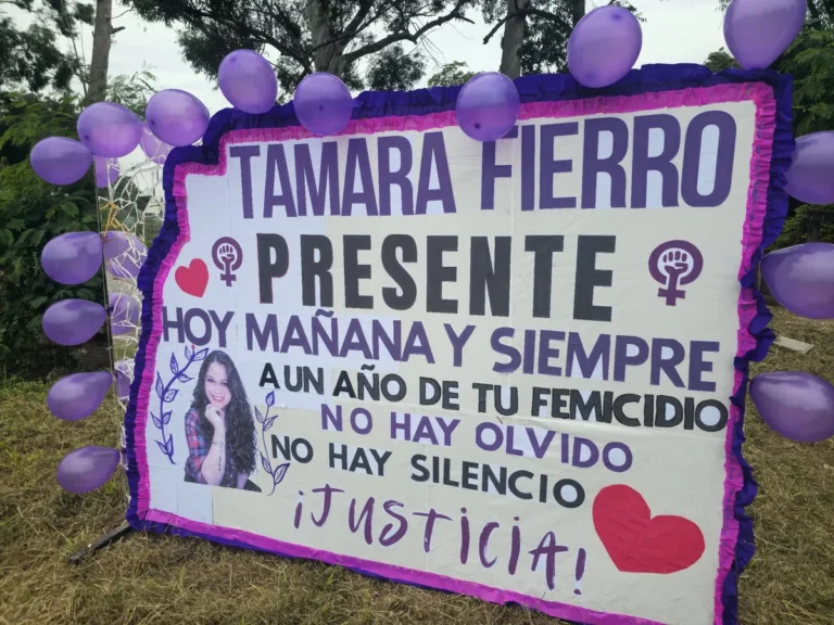 La sentencia de Tamara Fierro no está firme y existe riesgo de retroceso judicial