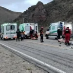 Choque en Ruta 9: camioneta impactó contra animales en Tumbaya Grande