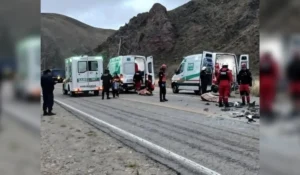 Choque en Ruta 9: camioneta impactó contra animales en Tumbaya Grande