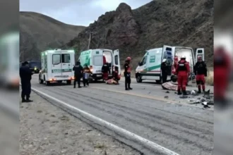 Choque en Ruta 9: camioneta impactó contra animales en Tumbaya Grande
