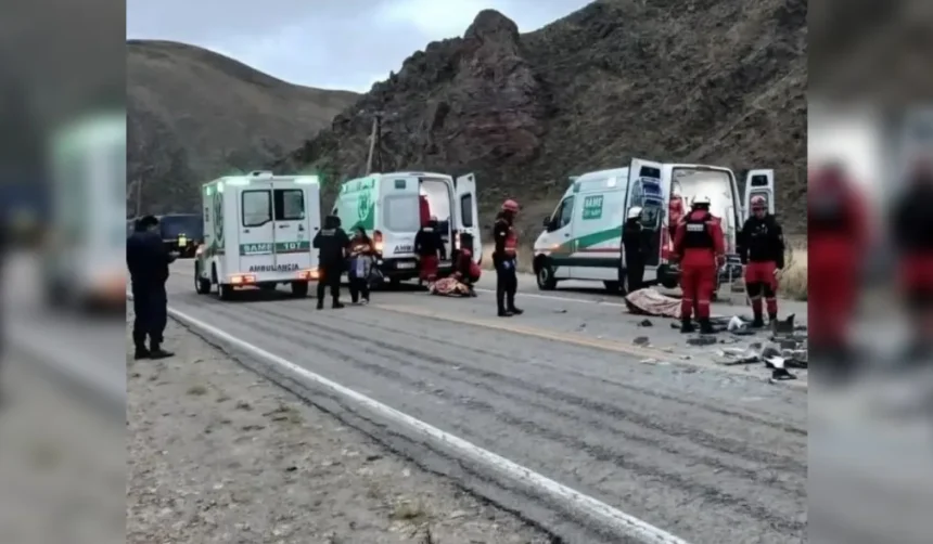 Choque en Ruta 9: camioneta impactó contra animales en Tumbaya Grande