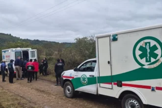 Hombre internado tras accidente grave con motosierra en límite de Jujuy