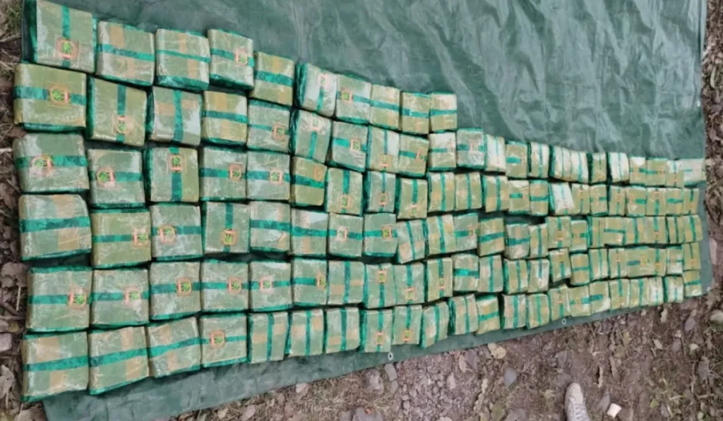 Secuestran más de 500 kilos de hojas de coca en camioneta sin patente en la Ruta 9