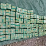Secuestran más de 500 kilos de hojas de coca en camioneta sin patente en la Ruta 9