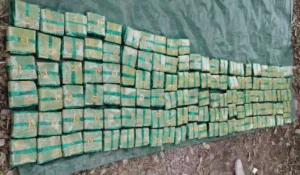 Secuestran más de 500 kilos de hojas de coca en camioneta sin patente en la Ruta 9