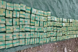 Secuestran más de 500 kilos de hojas de coca en camioneta sin patente en la Ruta 9
