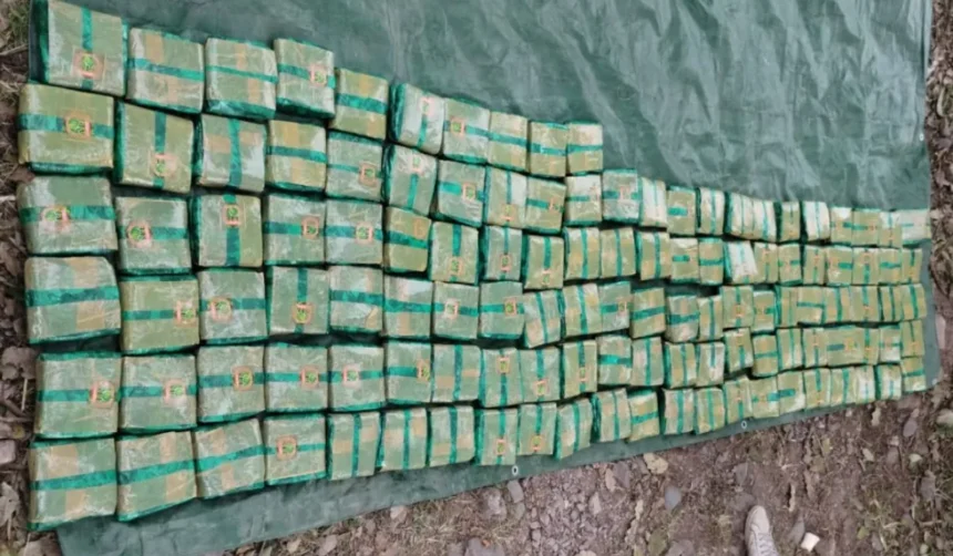 Secuestran más de 500 kilos de hojas de coca en camioneta sin patente en la Ruta 9