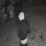 Intento de robo con amenazas de muerte en una vivienda de Palpalá