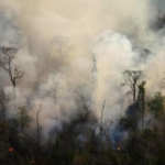 Incendio forestal en Lozano: Controlado tras 48 horas de operativo intenso