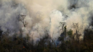 Incendio forestal en Lozano: Controlado tras 48 horas de operativo intenso