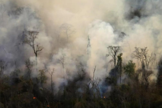 Incendio forestal en Lozano: Controlado tras 48 horas de operativo intenso