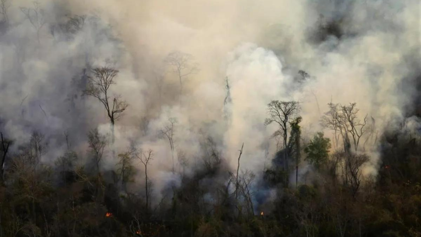 Incendio forestal en Lozano: Controlado tras 48 horas de operativo intenso