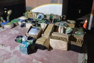 Incautaron 472 kilos de hojas de coca en encomienda desde Jujuy
