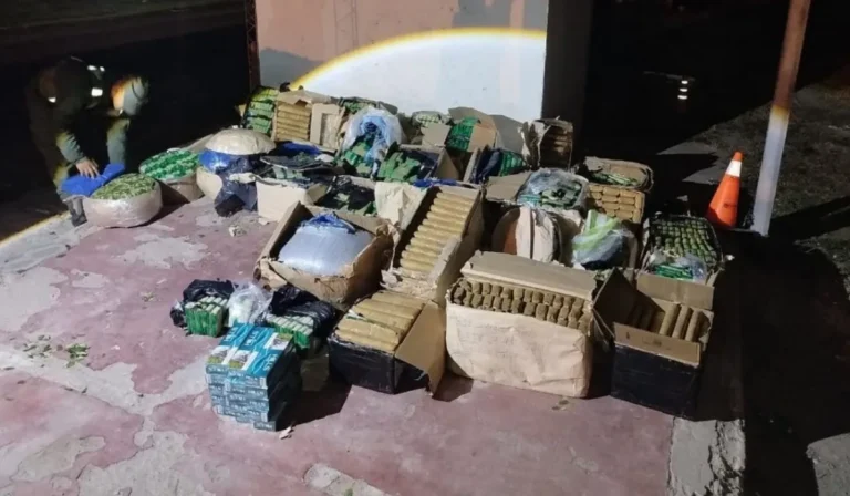 Incautaron 472 kilos de hojas de coca en encomienda desde Jujuy