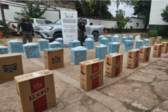 Gendarmería decomisó más de veinte mil paquetes de cigarrillos extranjeros en San Pedro