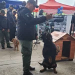 Las cárceles de Jujuy operan a máxima capacidad, según reveló el Servicio Penitenciario