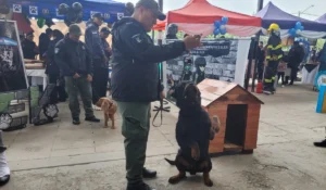 Las cárceles de Jujuy operan a máxima capacidad, según reveló el Servicio Penitenciario