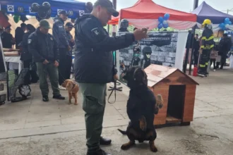 Las cárceles de Jujuy operan a máxima capacidad, según reveló el Servicio Penitenciario
