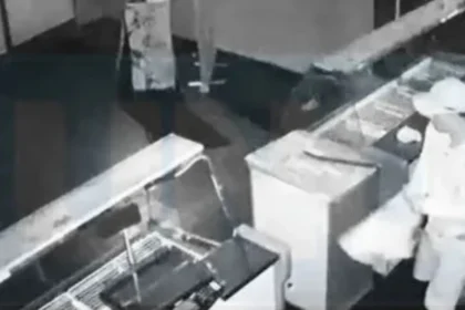 Robo de carnicería en San Pedro: delincuentes se llevaron 7 millones de pesos