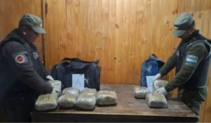 Droga abandonada en La Quiaca: sujeto deja más de 10 kilos de marihuana y huye hacia Bolivia