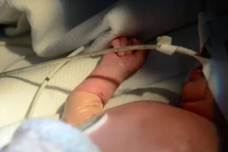 Envenenamiento de bebés en Jujuy: condenan a prófugo tras 8 años de fuga