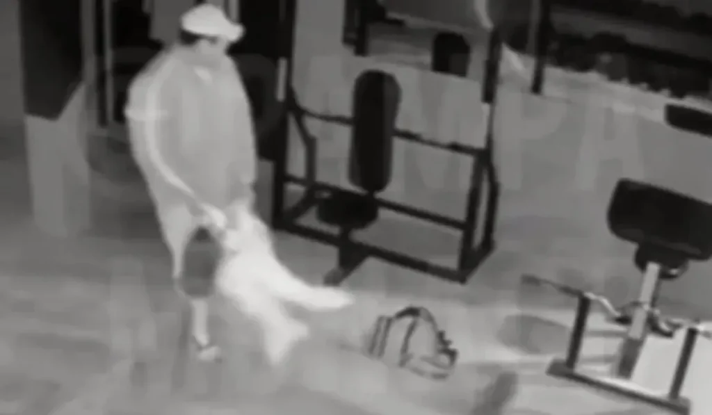 Agresión en Alto Comedero: hombre violó restricciones y golpeó brutalmente a su ex pareja