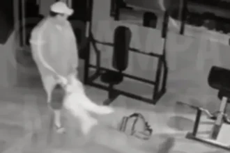 Agresión en Alto Comedero: hombre violó restricciones y golpeó brutalmente a su ex pareja