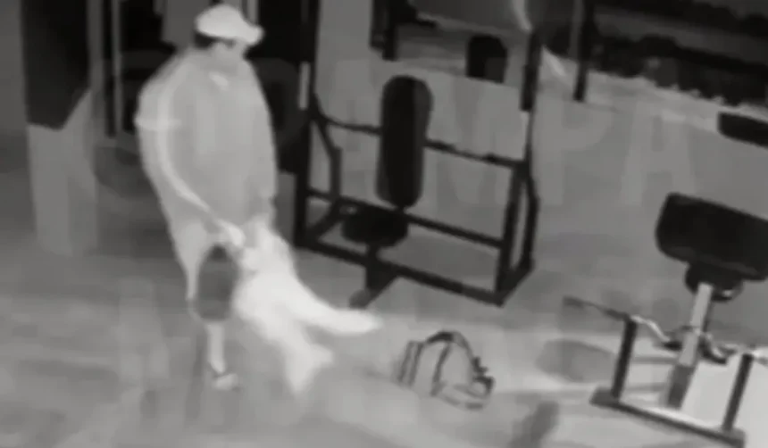 Agresión en Alto Comedero: hombre violó restricciones y golpeó brutalmente a su ex pareja