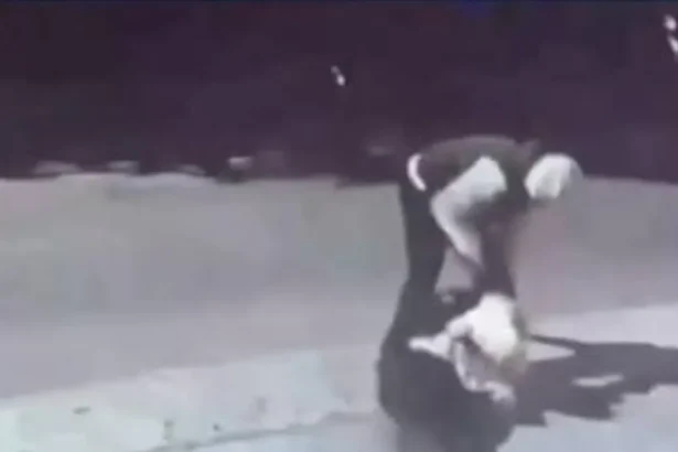 Un niño de 11 años intentó defender a su madre de una golpiza y fue atacado a patadas