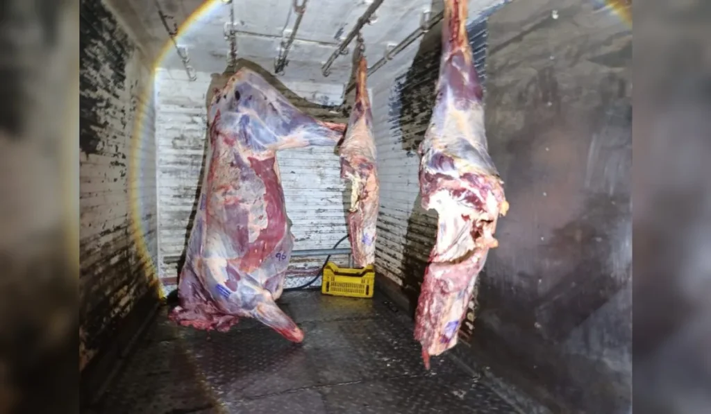 Detienen a dos jujeños en Salta por transportar carne ilegal