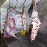 Detienen a dos jujeños en Salta por transportar carne ilegal