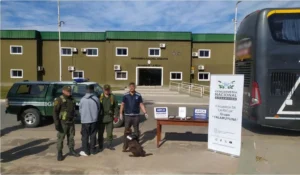Decomiso de marihuana en Ruta 38: detienen a pasajero con carga desde La Quiaca